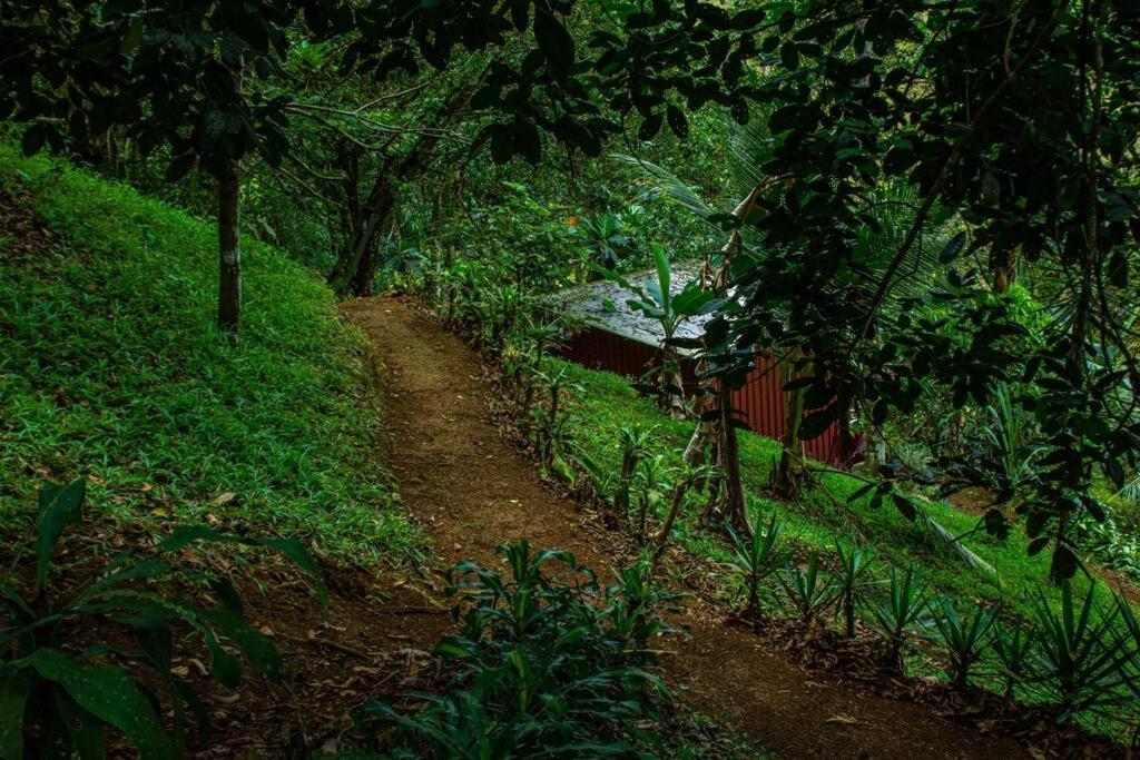 Cabana En La Montana Venecia 外观 照片