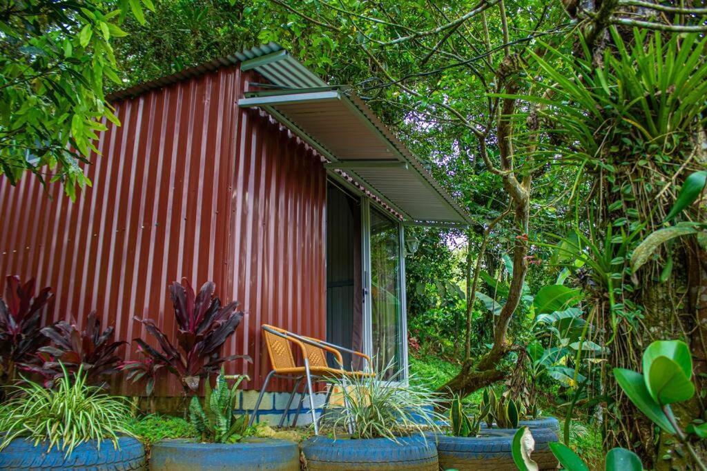 Cabana En La Montana Venecia 外观 照片